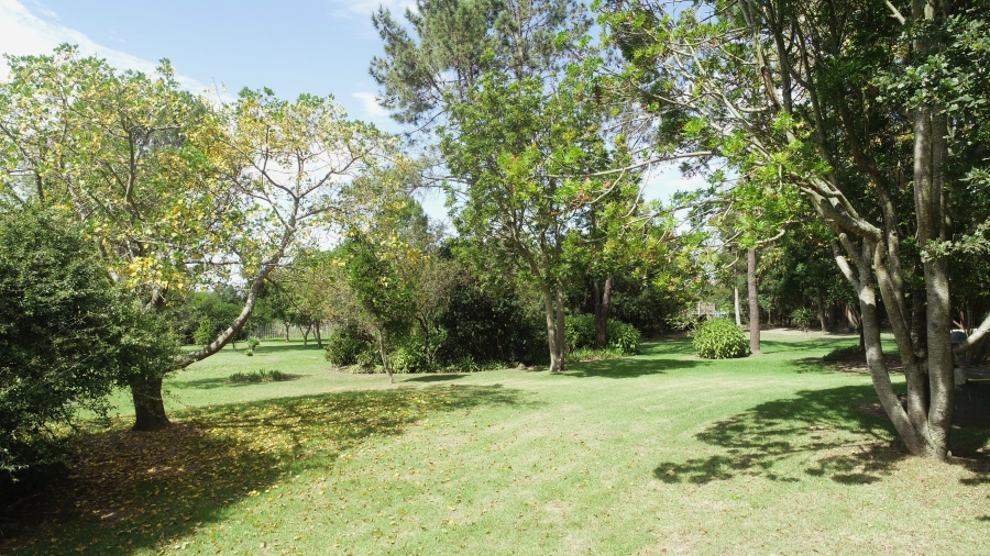 To Let 5 Bedroom Property for Rent in Rheenendal Western Cape